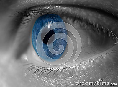 Blue eye Stock Photo