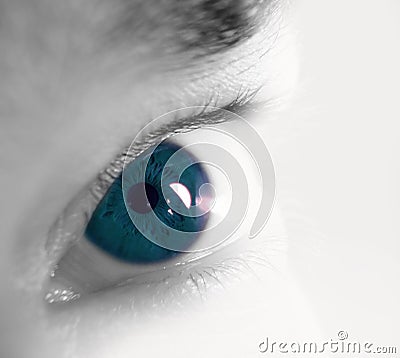 Blue eye iris closeup Stock Photo