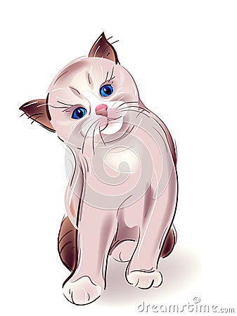 blue-eyed little kitten Vector Illustration
