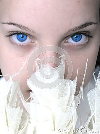 Blue eyes Stock Photo