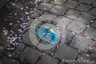 Blue face mask on a stone cobblestone among the fallen sakura flowers in spring Stock Photo