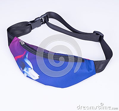 Blue Fanny Pack. Waist Bag, Waist Pack with zippers. Cartoon Illustration