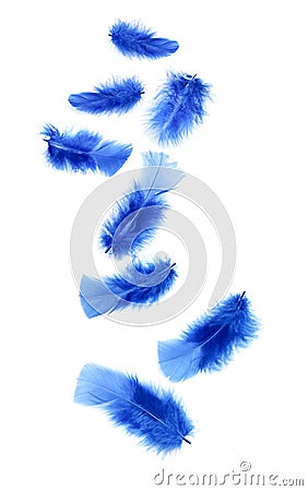 Blue feathers Stock Photo