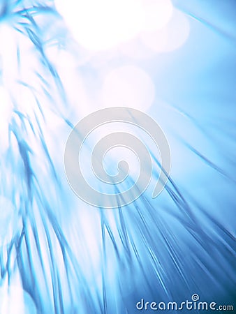 Blue fiber optics strands Stock Photo