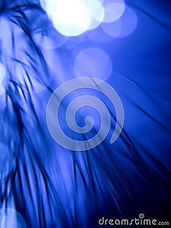 Blue fiber optics strands Stock Photo