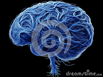 Blue fibrous brain structure with intricate neural textures highlighting the complexity of cerebral pathways and cognitive proc Cartoon Illustration