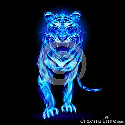 Blue Fire Tiger. Stock Photography - Image: 33566642