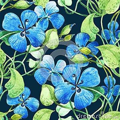 Blue flower. Watercolor floral  seamless pattern background.