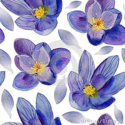 Blue flower. Watercolor painting. Beautiful watercolor flower Cartoon Illustration