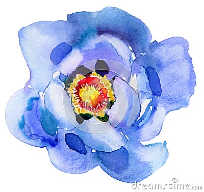 Blue flower. Watercolor painting. Beautiful watercolor flower Cartoon Illustration