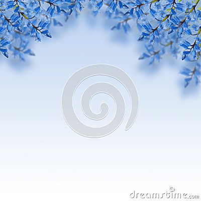 Blue flowers Stock Photo