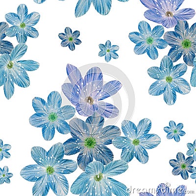 Floral seamless pattern on a white background. Stock Photo