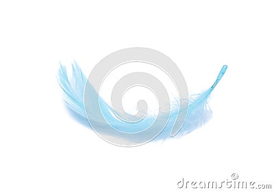 Blue fluffy feather soft isolated on the white studio background Stock Photo