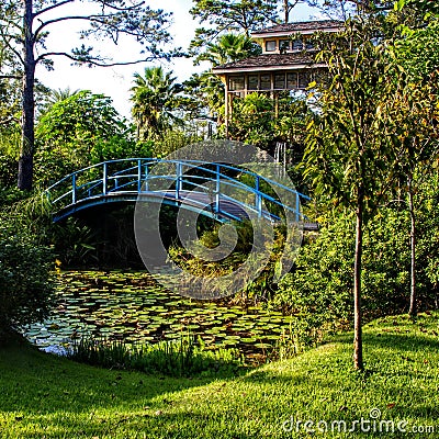 Blue footbridge over a quaint lily pond at the historical Houmas House Plantation & Gardens in Burnside, Louisiana Stock Photo