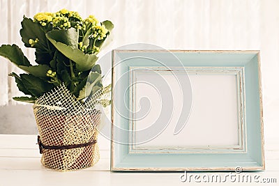 Blue Frame Mock Up, Digital MockUp, Display Mockup, Sea Styled Stock Photography Mockup, Colorful Desktop Mock Up. Yellow kalancho Stock Photo