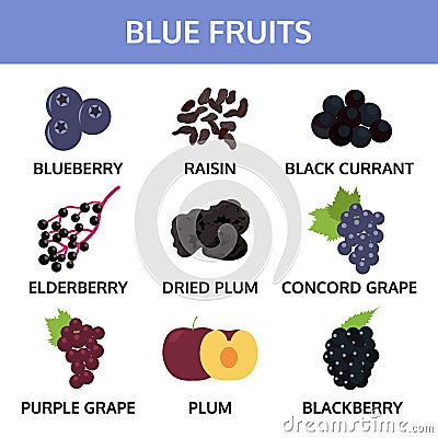 Blue fruits collection info graphic, food vector illustration Vector Illustration