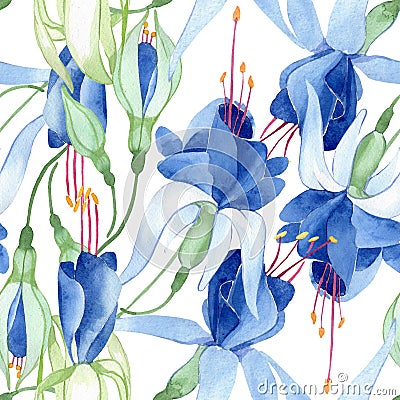 Blue fuchsia. Floral botanical flower. Watercolour drawing fashion aquarelle isolated. Seamless background pattern. Cartoon Illustration