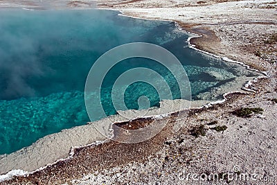 Blue Funnel Spring Stock Photo