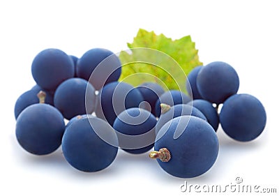 Blue grape berry Stock Photo