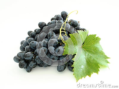 Blue grape cluster Stock Photo