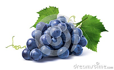 Blue grapes dry bunch on white background Stock Photo