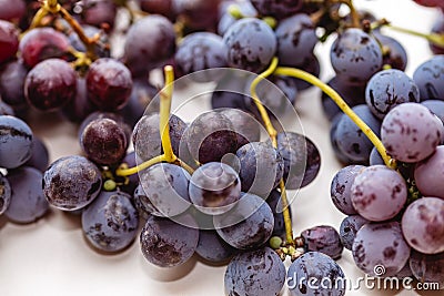 Blue grapes freshly picked from the vine. Stock Photo