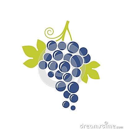 Blue grapes Vector Illustration