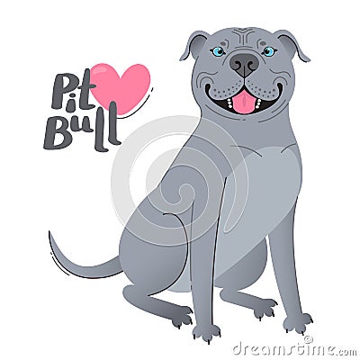 Blue gray pit bull terrier. Happy pitbull. Vector illustration Vector Illustration
