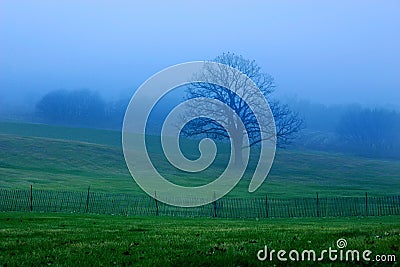 Blue and Green Morning Stock Photo