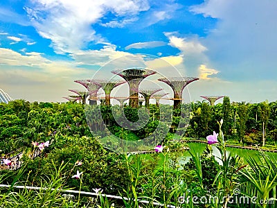 Blue and green - Singapore`s botanic garden Stock Photo