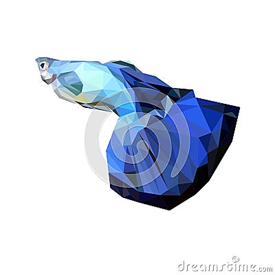 Blue guppy fish in lowpoly Cartoon Illustration
