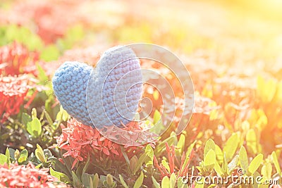 Blue Heart on Green spike flower tree for love and Valentine`s Day Stock Photo