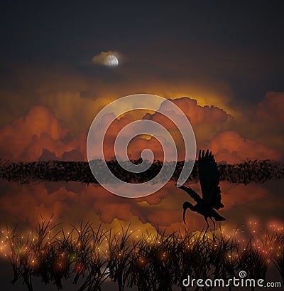 Blue Heron hunting at night Stock Photo