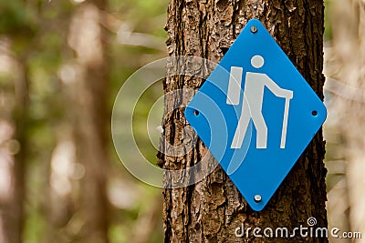 Blue Hiking Trail Marker Stock Photo