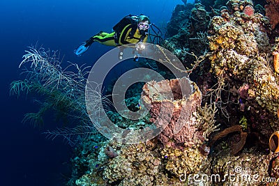 Blue Hole Belize Scuba Diving Editorial Stock Photo