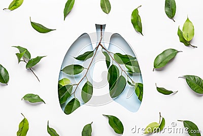 Blue Hole Lungs and green twigs as symbol of healthy lungs. World Tuberculosis Day or World Lung Day concept. Minimal Paper Art Stock Photo