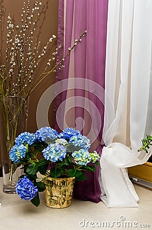 Blue hydrangea and willows Stock Photo