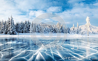 Blue ice and cracks on the surface of the ice. Frozen lake under a blue sky in the winter. The hills of pines. Winter Stock Photo