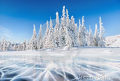 Blue ice and cracks on the surface of the ice. Frozen lake under a blue sky in the winter. The hills of pines. Winter Stock Photo