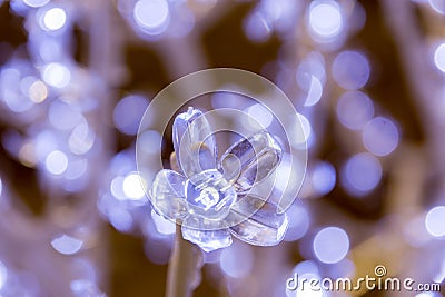 Blue ice flower among bokeh winter crystal lights Stock Photo