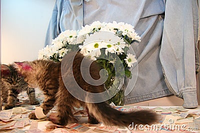 Blue jacket and mirror, flowers and kitten. Stock Photo