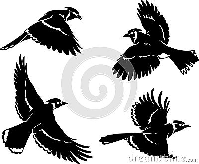 Blue Jay Bird Set Silhouette Vector Illustration