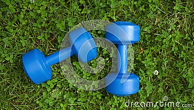 blue 4kg dumbells on vibrant grass turf Stock Photo