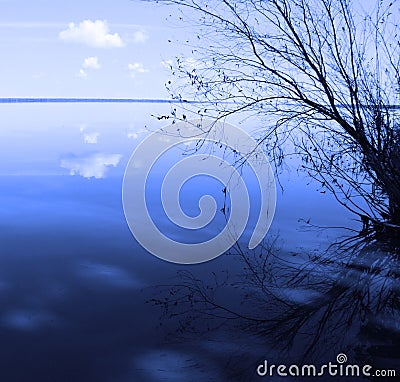 Blue landscape with a lonely tree Stock Photo