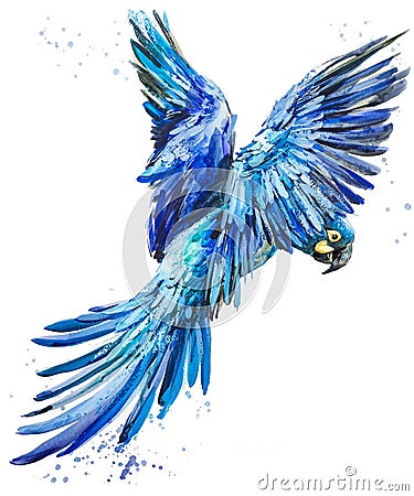 Blue lear macaw. tropical bird watercolor illustration. Blue parrot flying. Brazilian wildlife fauna. Cartoon Illustration