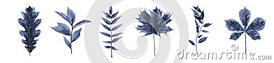 Blue leave watercolor. Abstract plant botanical watercolor illustration isolated on white background. Cartoon Illustration