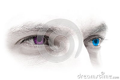 Blue-Magenta Eyes Stock Photo