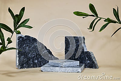 blue marble podium or stone beauty with ruscus plants. Product promotion Beauty cosmetic showcase Stock Photo