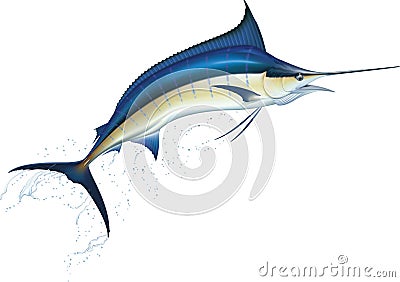 Blue marlin Vector Illustration