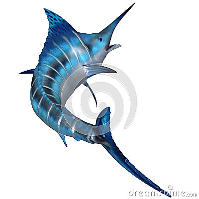 Blue Marlin Predator Stock Photo